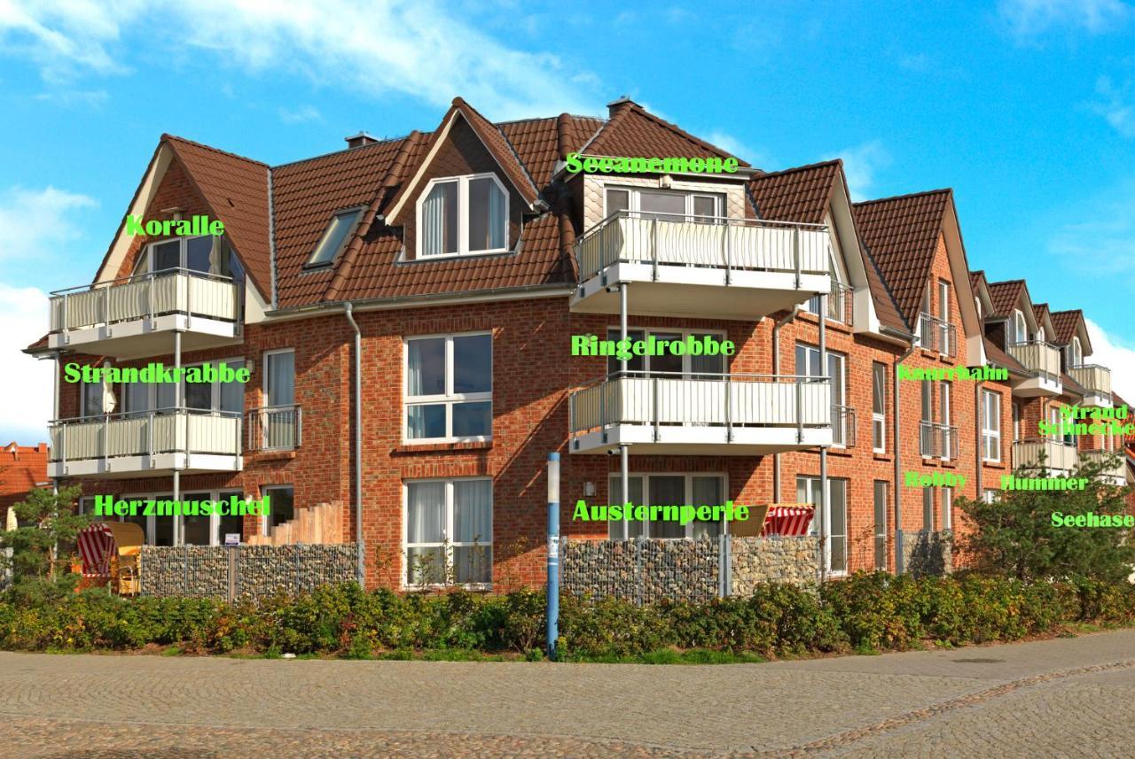 Haus Suedwester Koralle Insel Poel Esterno foto