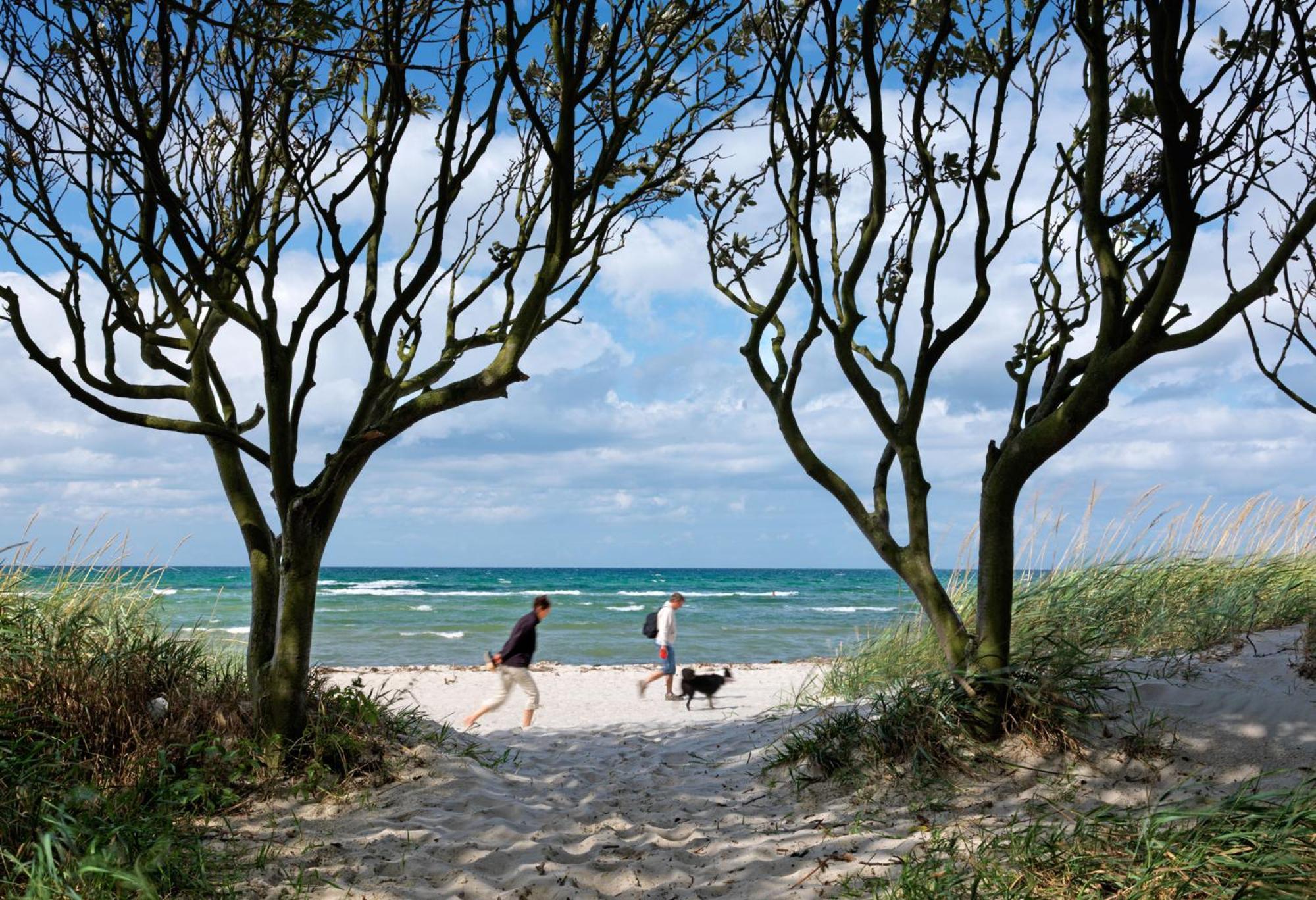 Haus Suedwester Koralle Insel Poel Esterno foto