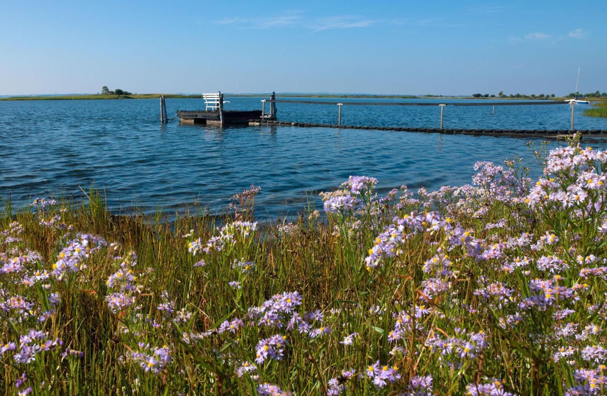 Haus Suedwester Koralle Insel Poel Esterno foto